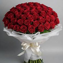 Букет 101 Красная роза Блэк Мэджик в Мисайлово