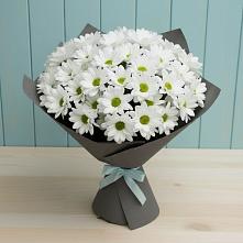 Букет цветов из:  Хризантемы #REPLACE_PRED# Мисайлово