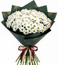 Букет цветов из:  Хризантемы #REPLACE_PRED# Мисайлово