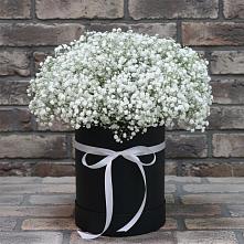 Цветочная композиция из Гипсофила в шляпной коробке в Мисайлово