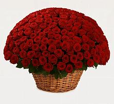 Премиум букет из: Розы #REPLACE_PRED# Мисайлово