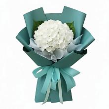 Букет цветов из:  Гортензия в Мисайлово